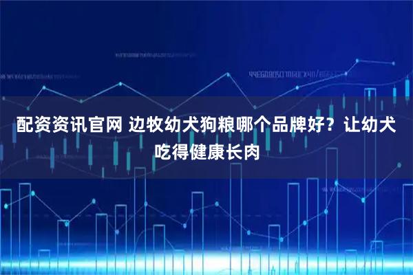 配资资讯官网 边牧幼犬狗粮哪个品牌好?让幼犬吃得健康长肉