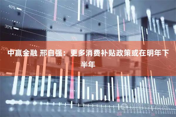 中赢金融 邢自强：更多消费补贴政策或在明年下半年