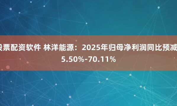 股票配资软件 林洋能源：2025年归母净利润同比预减55.50%-70.11%