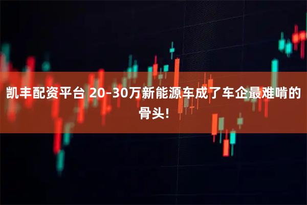 凯丰配资平台 20–30万新能源车成了车企最难啃的骨头!