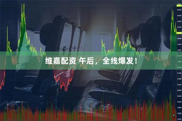 维嘉配资 午后，全线爆发！