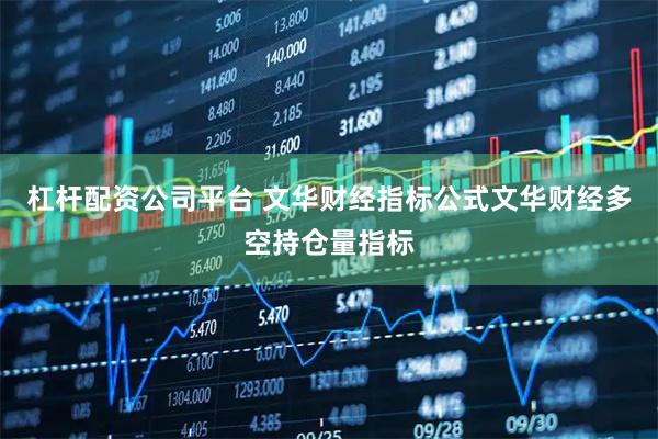杠杆配资公司平台 文华财经指标公式文华财经多空持仓量指标