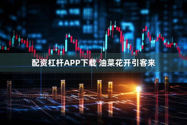 配资杠杆APP下载 油菜花开引客来
