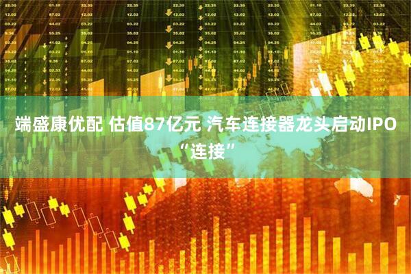 端盛康优配 估值87亿元 汽车连接器龙头启动IPO“连接”