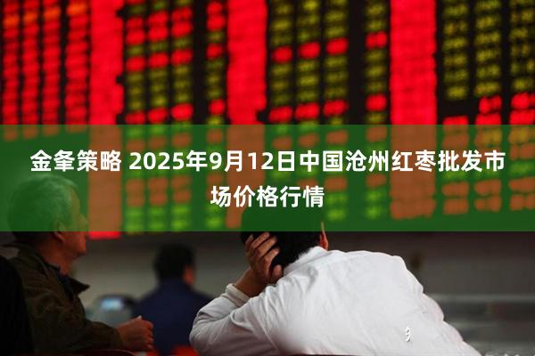 金夆策略 2025年9月12日中国沧州红枣批发市场价格行情